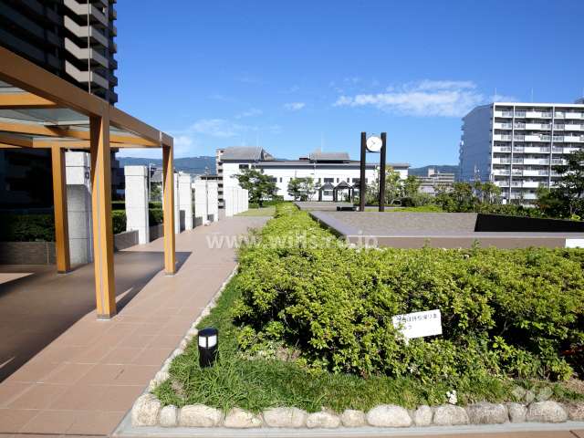 駐車場棟屋上の庭園