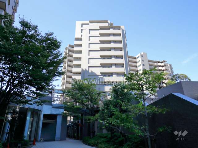 コスモシティ住吉川公園Ｂ棟の外観（東側から）