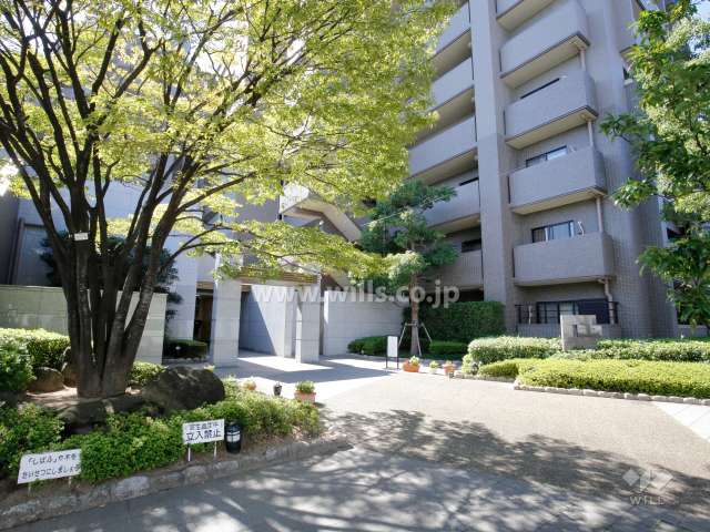 エントランス前の広場