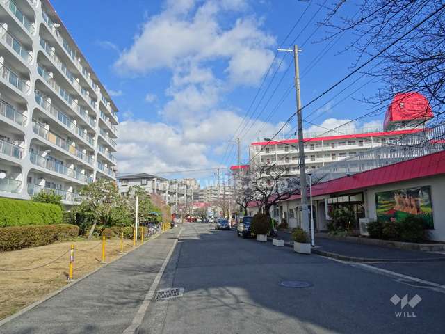 敷地北西側の前面道路（南西側から）