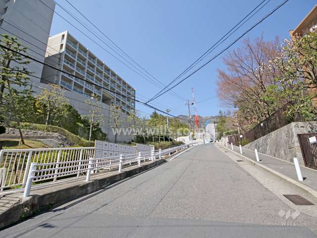 敷地東側の前面道路