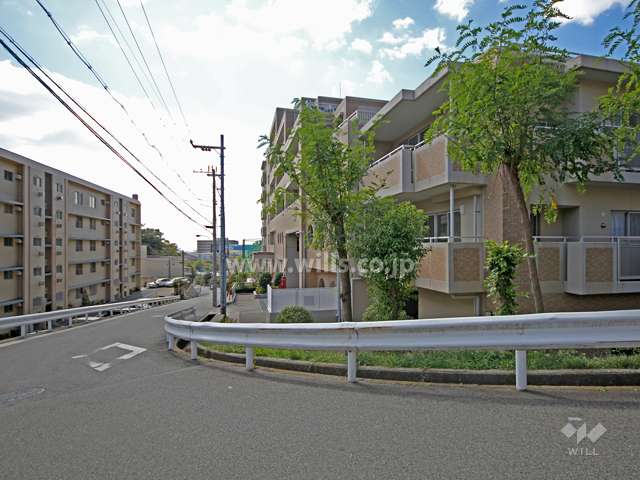 敷地南側の前面道路