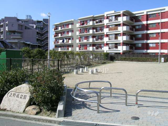 敷地南側の公園