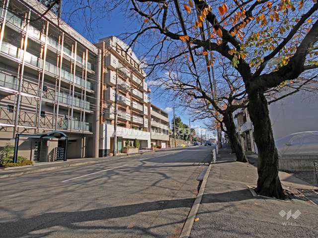 敷地南側の前面道路