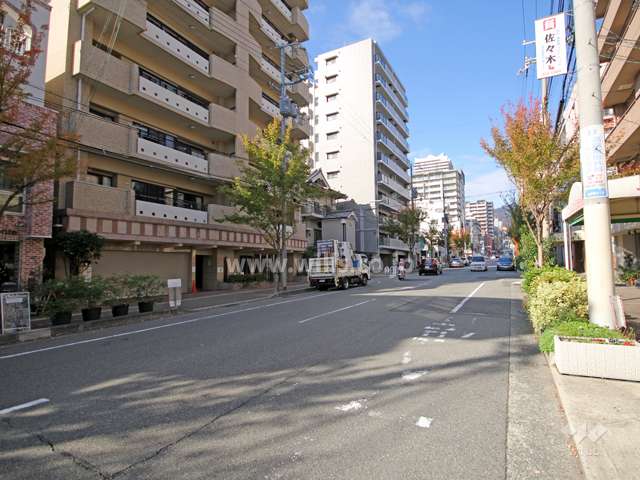 敷地東側の前面道路