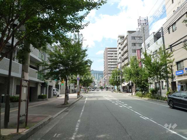 敷地東側の前面道路。周辺は駅前の区画の整った街。