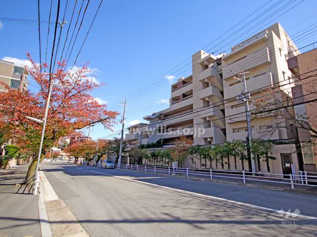 敷地北側の前面道路