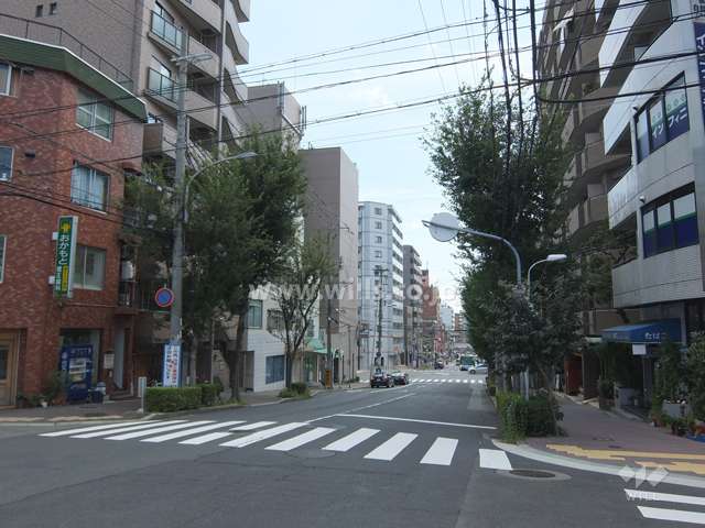 敷地西側の前面道路（北側から）