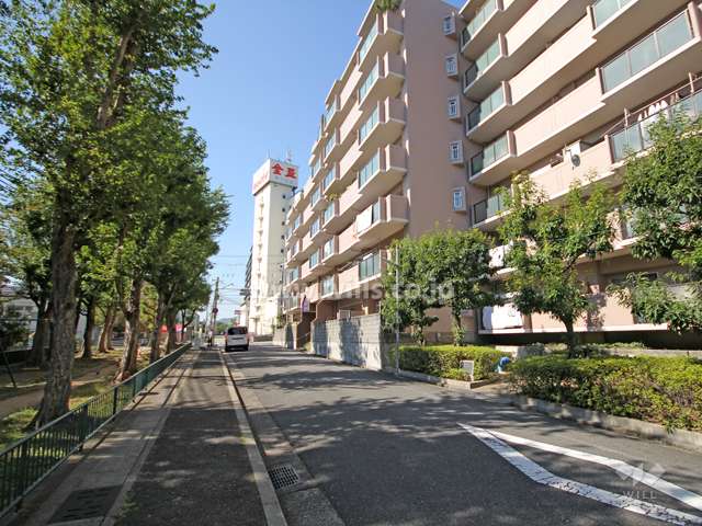 敷地南側の前面道路