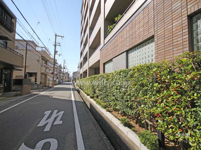 敷地南側の前面道路