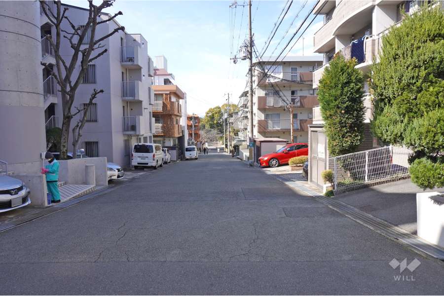 敷地北側の前面道路（東側から）。周辺は区画の整った閑静な住宅地です。