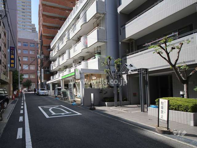 敷地南側の道路。