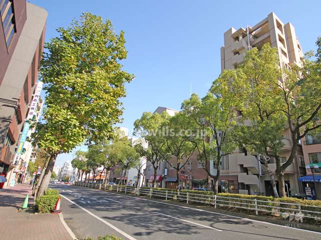 敷地北側の前面道路