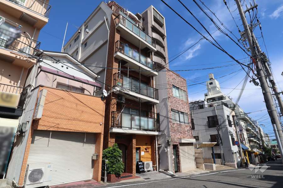 サンパレス倉石の外観（北西側から）