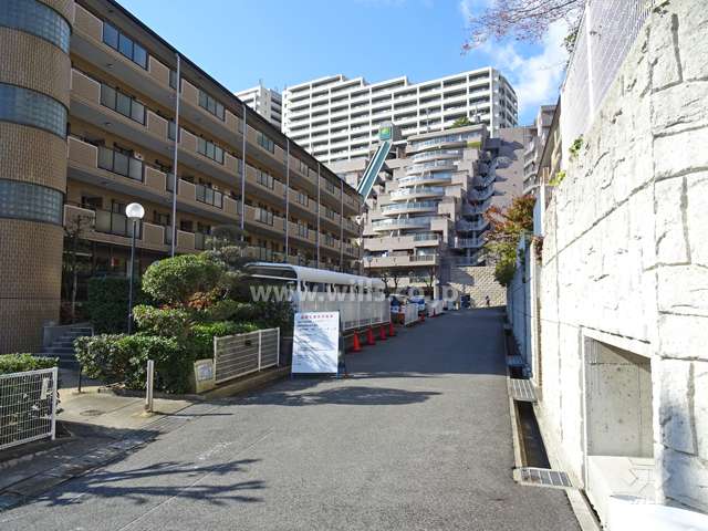 敷地北側の前面道路