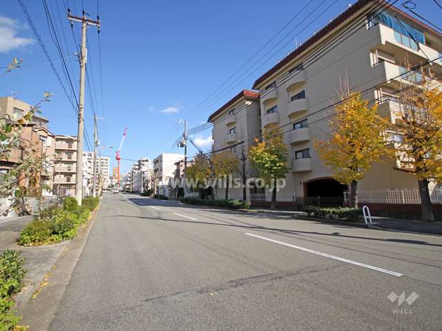 敷地北側の前面道路