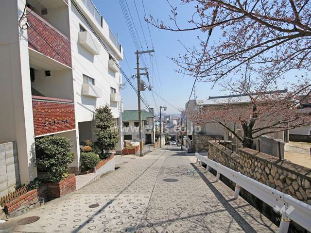 敷地南西側の前面道路