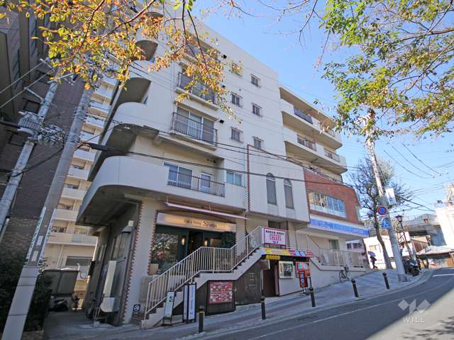 ストランドパレーの外観(南東側から)
