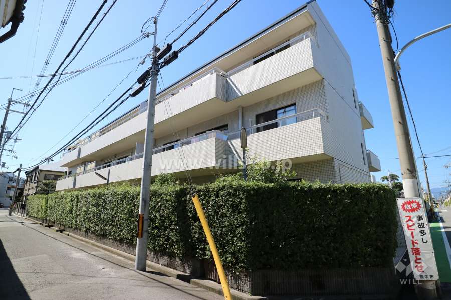 玉井町パークハイムの外観(北側から)