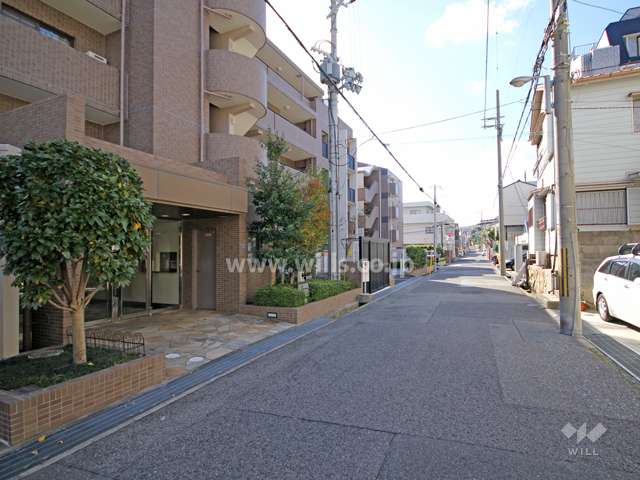 敷地北側の前面道路