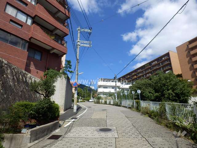 敷地東側の前面道路