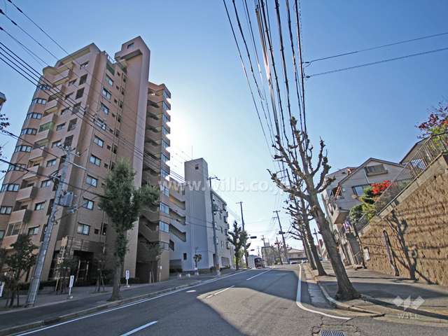 敷地北側の前面道路
