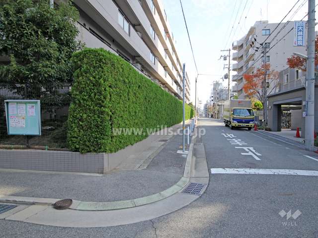 敷地南側の前面道路。敷地の周囲には生垣が設けられています。