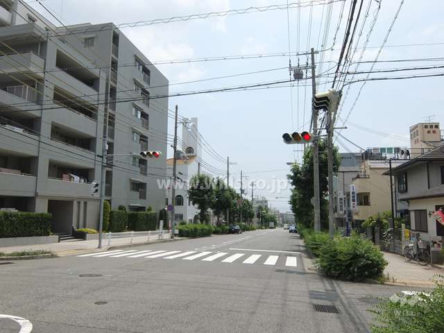 敷地西側の前面道路