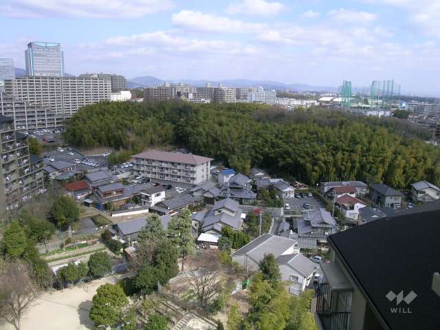 千里中央パークヒルズの東側には竹林も残っています