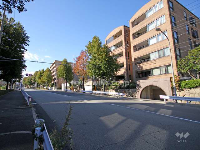 敷地南側の前面道路