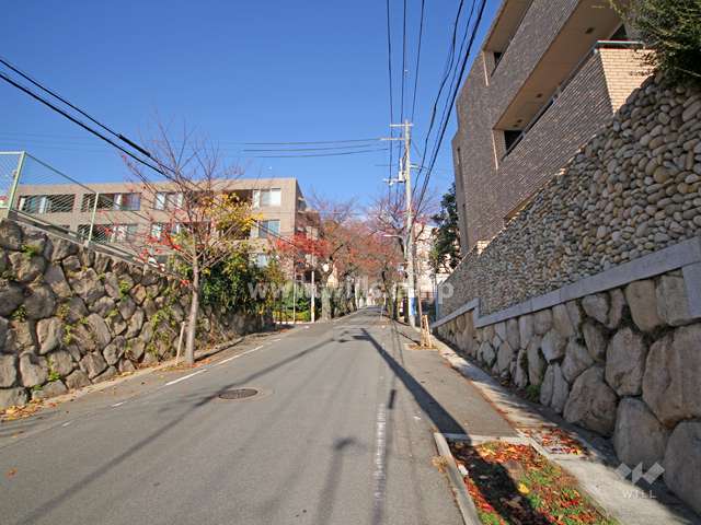 敷地西側の前面道路