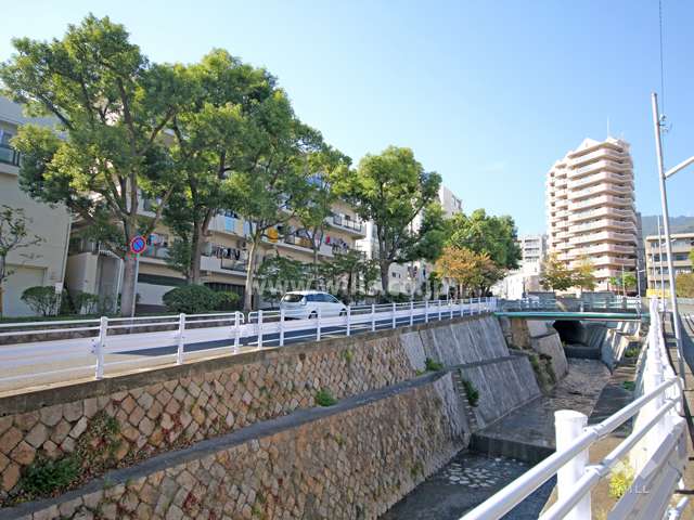 敷地東側の前面道路。道を挟んで西郷川が流れています。