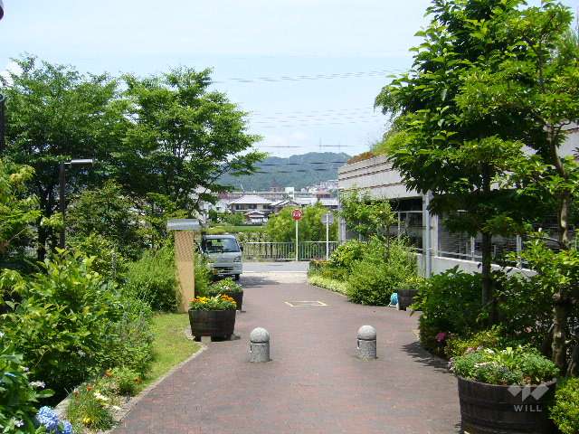 植栽スペースが多く設けられ、手入れも行き届いています。