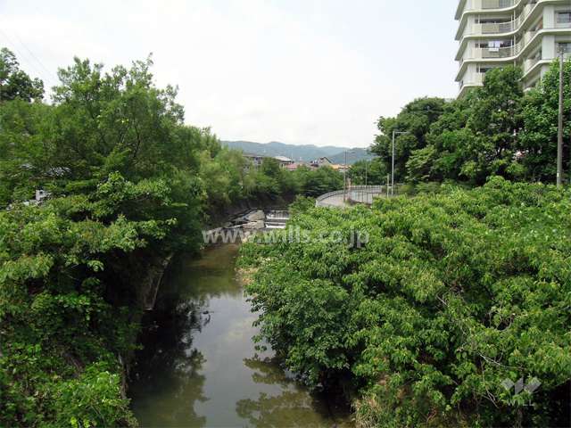 敷地の西側には千里川が流れています。