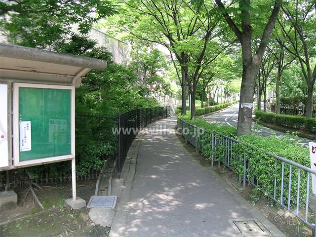 敷地の南側は街路樹のきれいな通りに面しています。