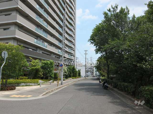 敷地西側の前面道路（北側から）