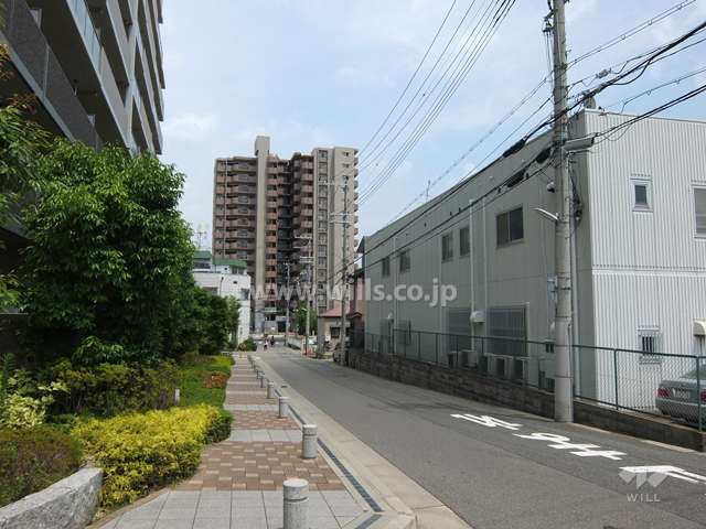 敷地南側の前面道路（西側から）