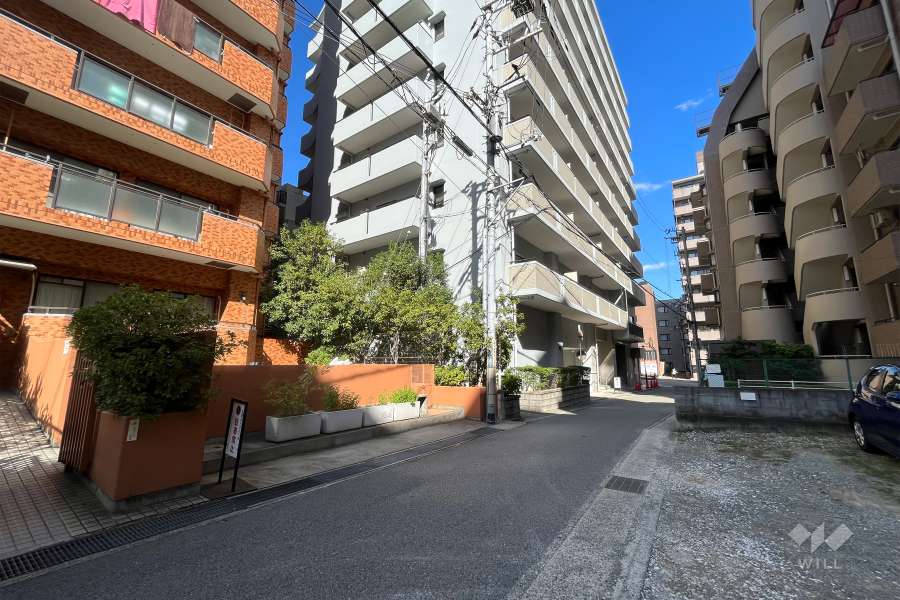 敷地南側の前面道路（西側から）