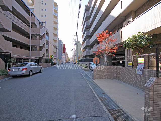 敷地南側の前面道路