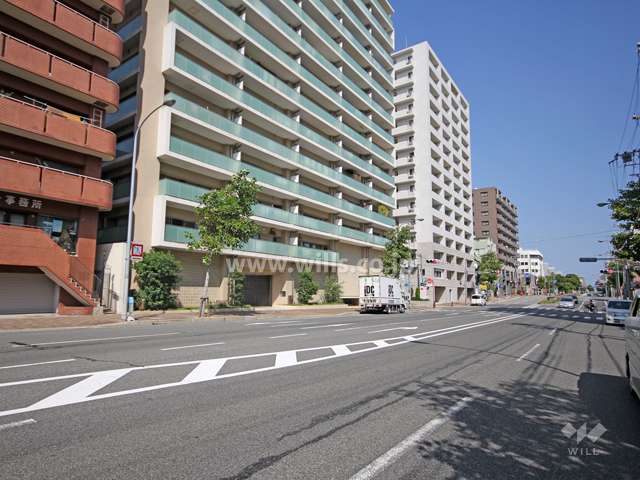 敷地南側の道路（山手幹線）