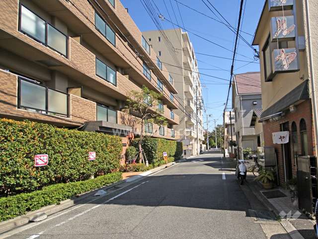 敷地南側の前面道路