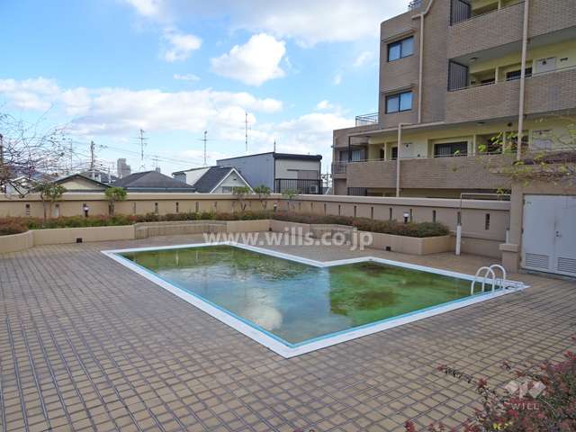 敷地内のプール