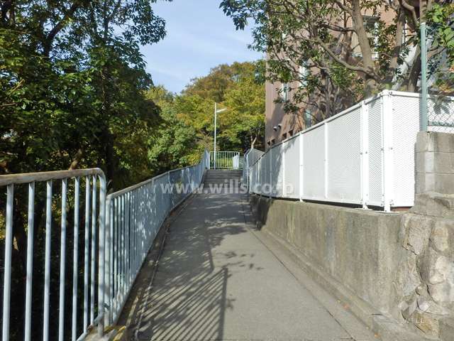 敷地西側の通路