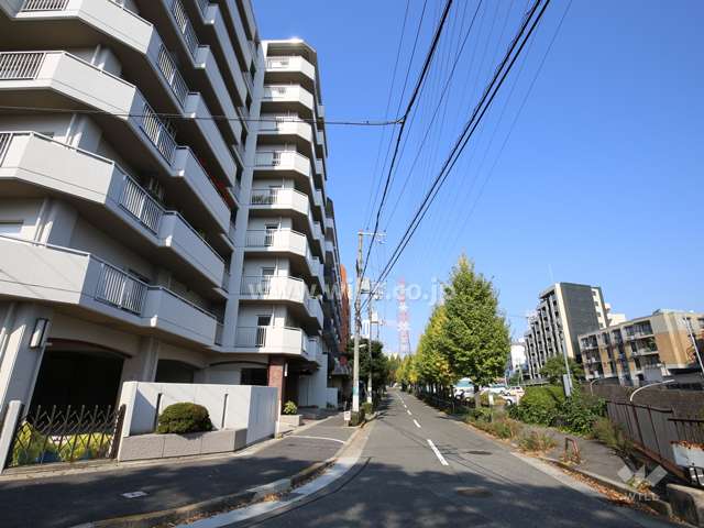 敷地東側の前面道路