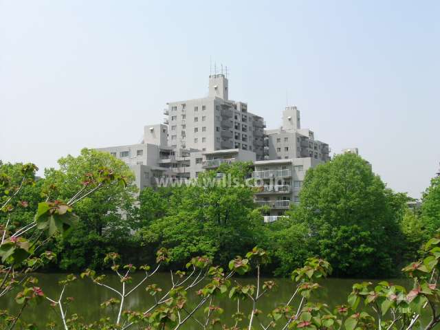 敷地の東側には『梨谷下池』があります。