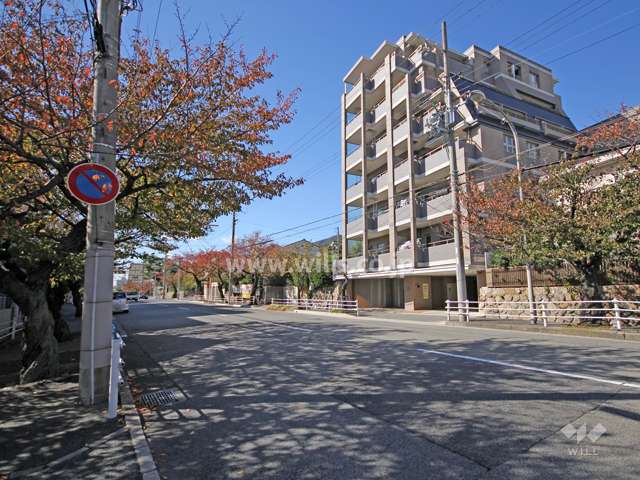 敷地南側の前面道路