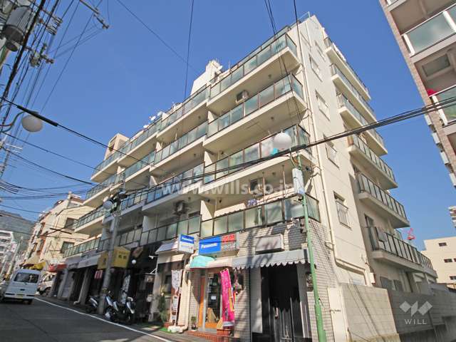 甲南西灘ハイムの外観(南西側から)