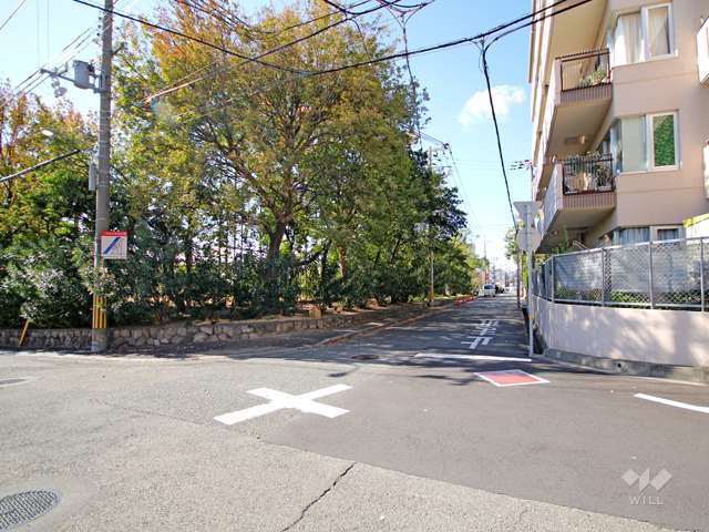 敷地南側の前面道路。道を挟んで『篠原公園』があります。