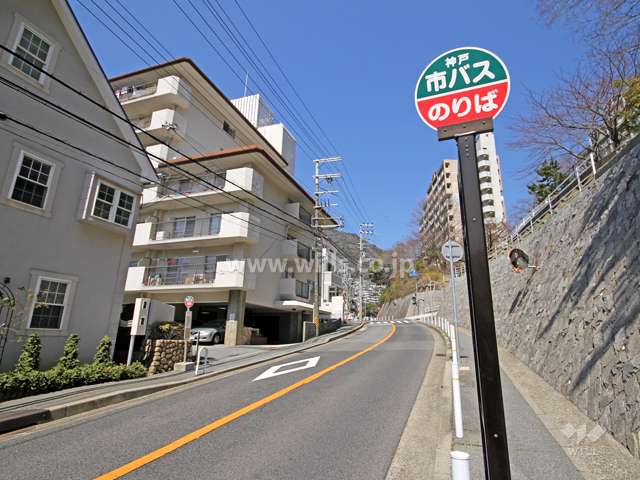 敷地東側の前面道路。目の前にバス停があります。