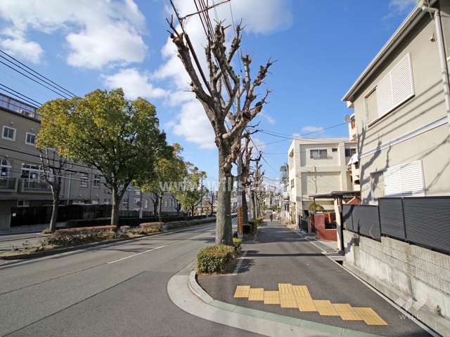 敷地南側の前面道路